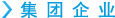 集团企业
