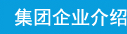 集团企业介绍